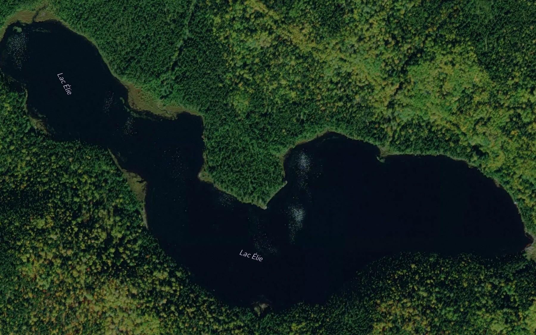 Satellite map of the Lac Elie