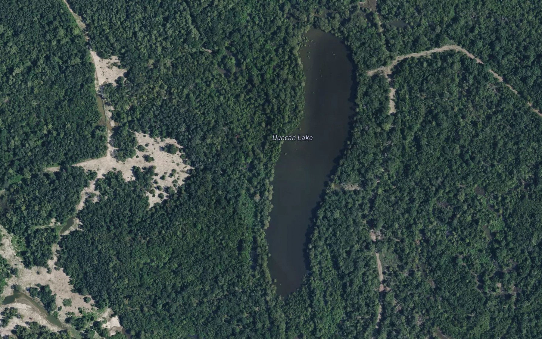 Satellite map of the Duncan Lake