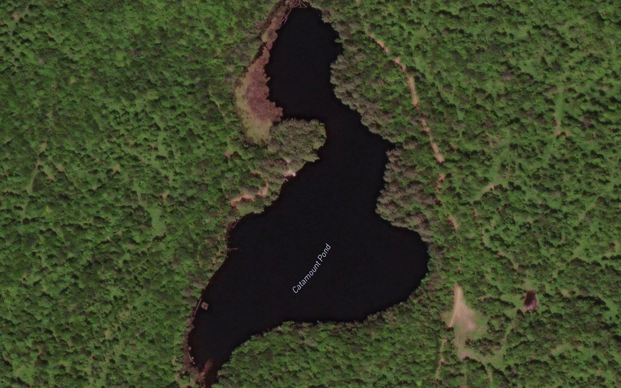 Catamount Pond