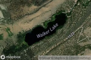Walker Lake