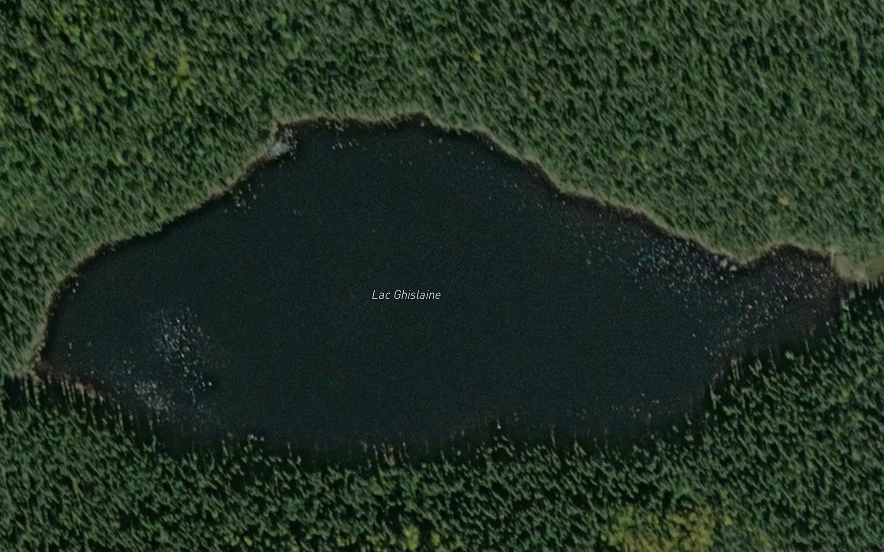 Satellite map of the Lac de la Surprise