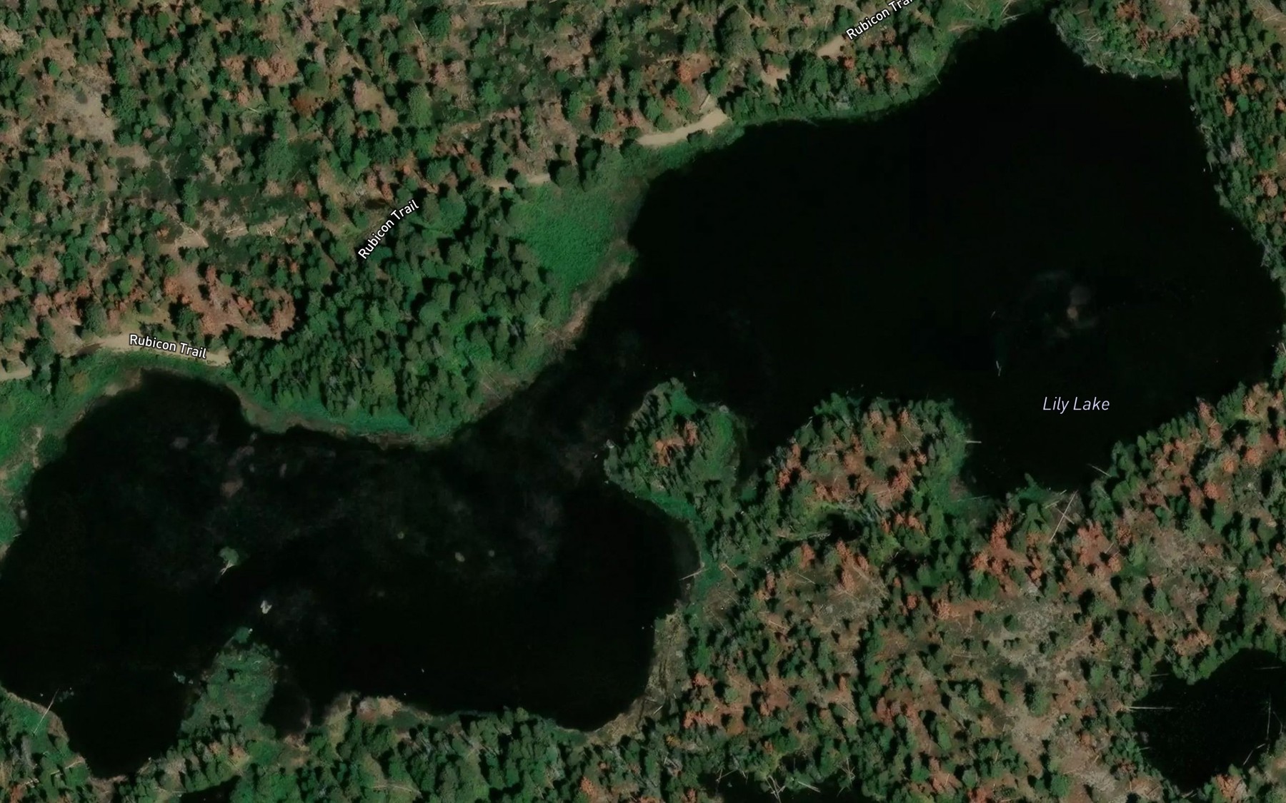 Satellite map of the Lily Lake