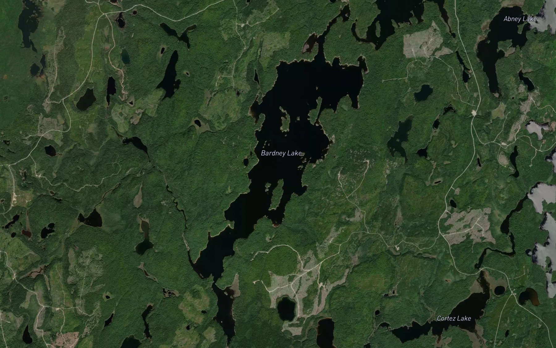 Satellite map of the Bardney Lake