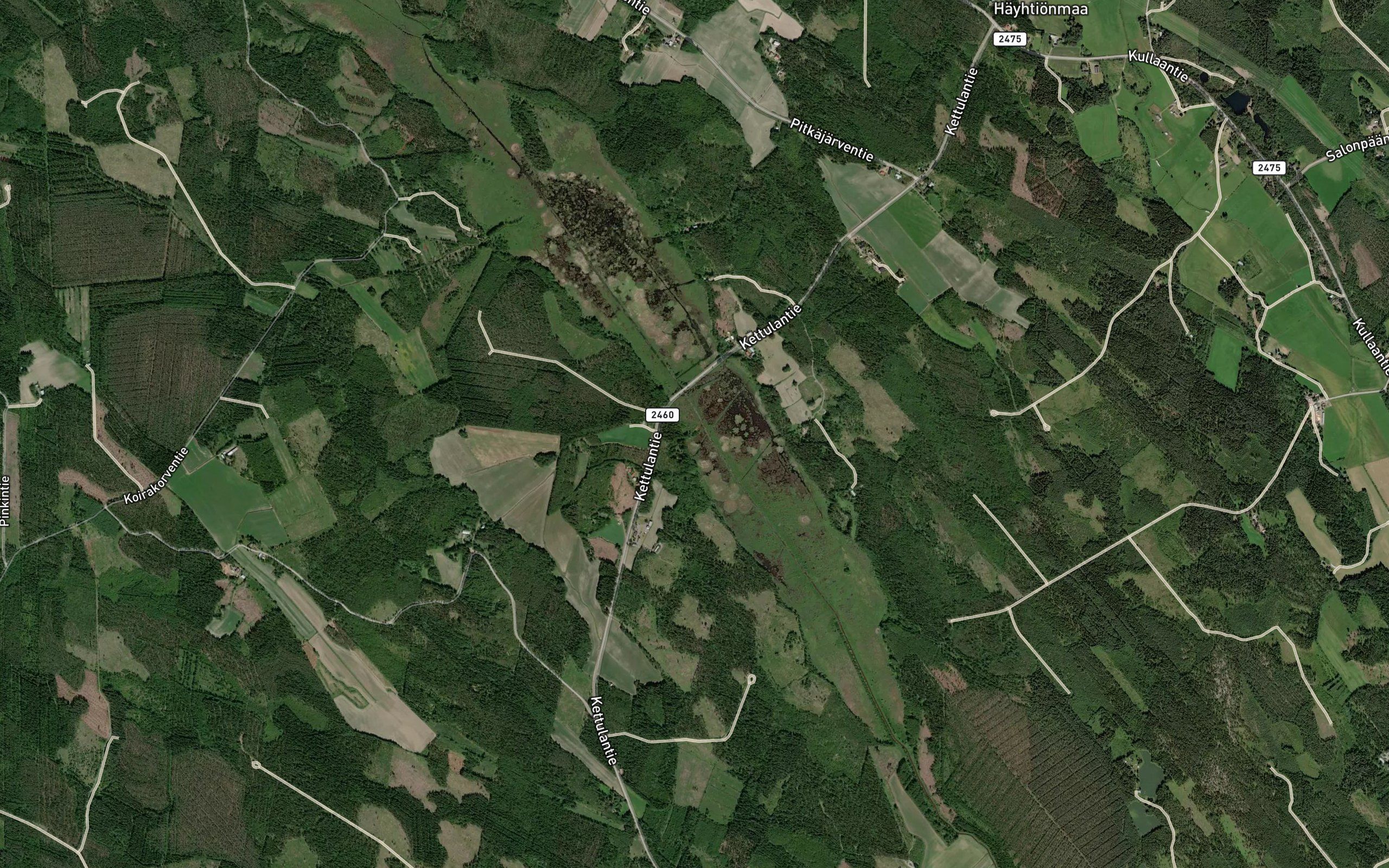 Matinoja