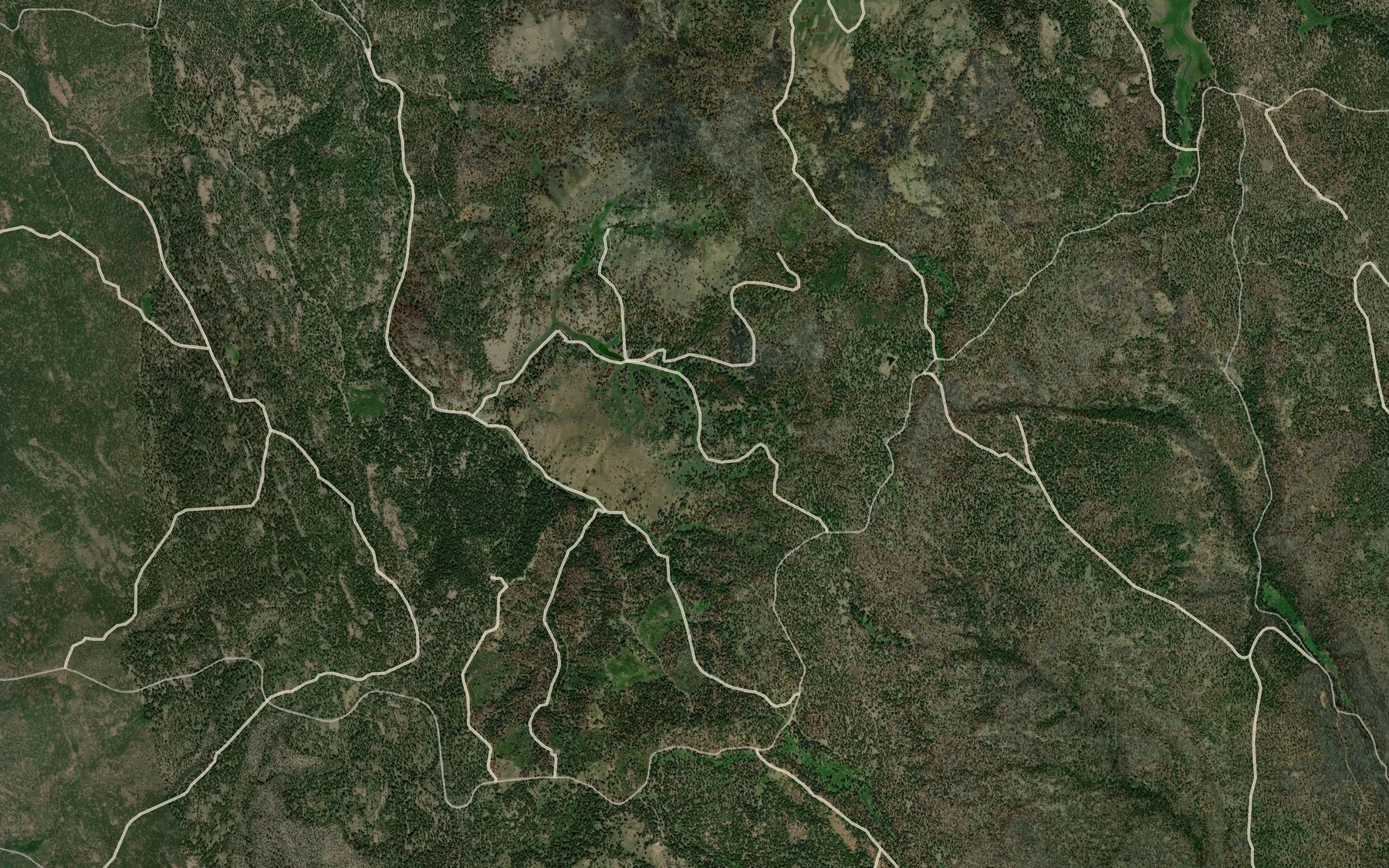 Satellite map of the Roach Creek Spring