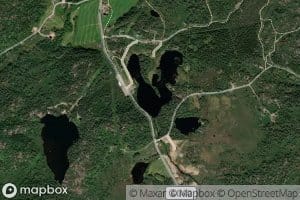 Surtetjorn