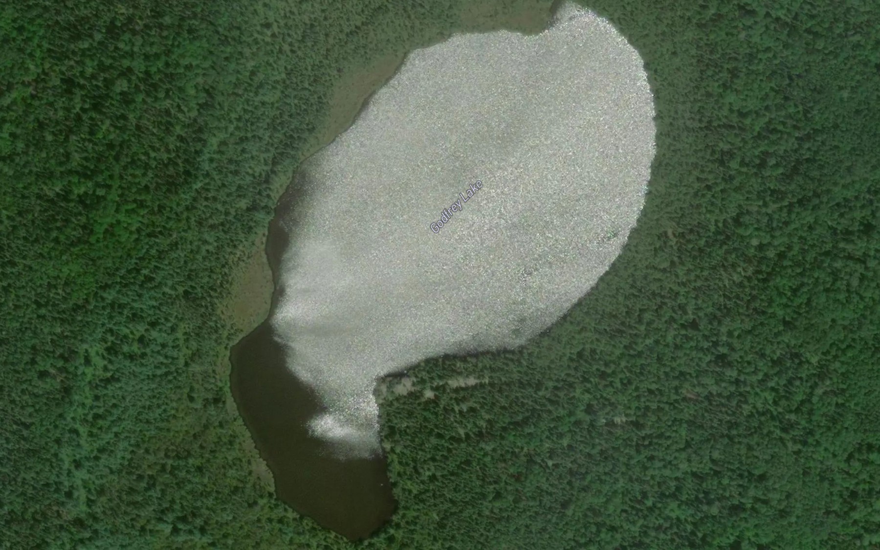 Satellite map of the Godfrey Lake