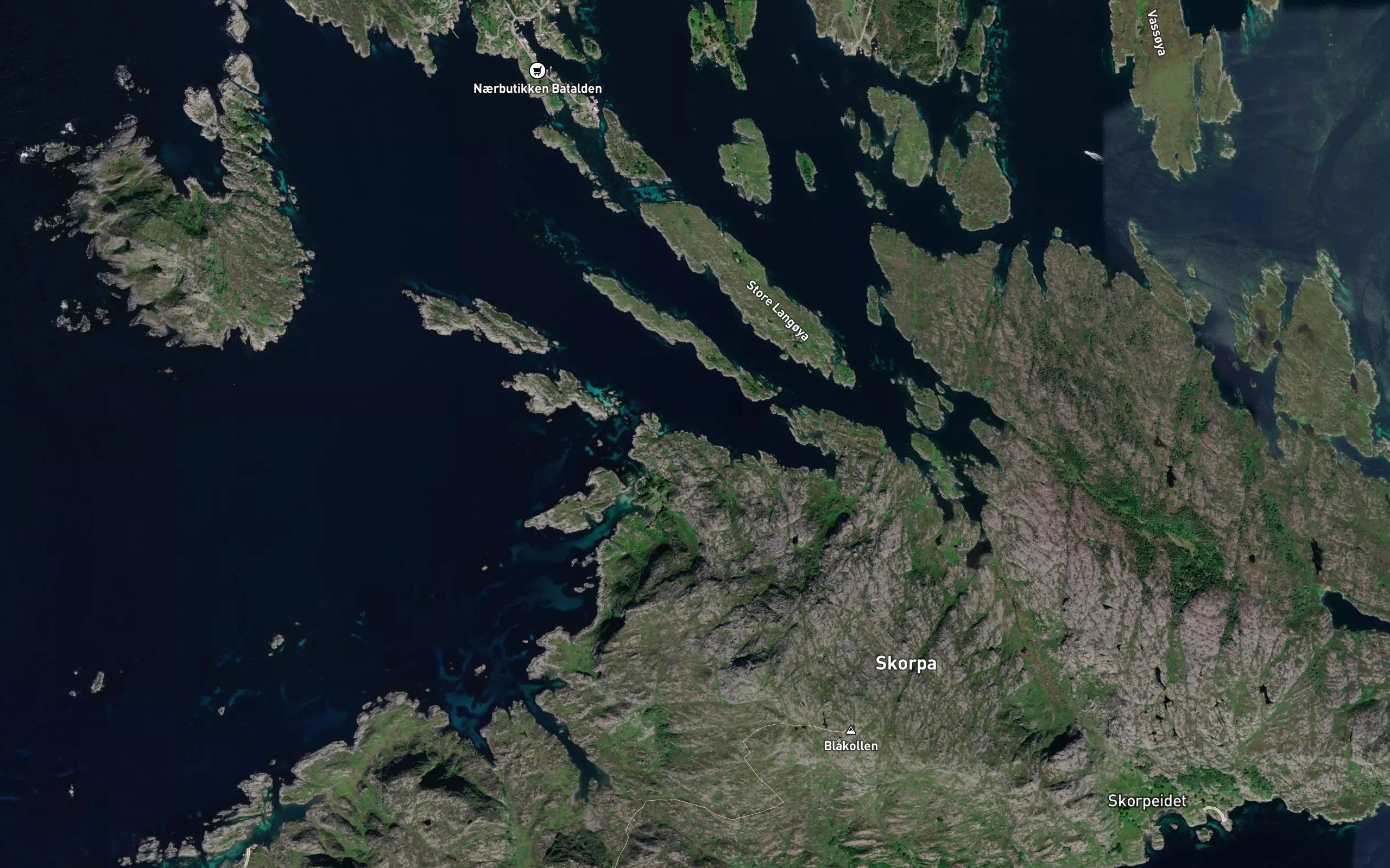Grisevika
