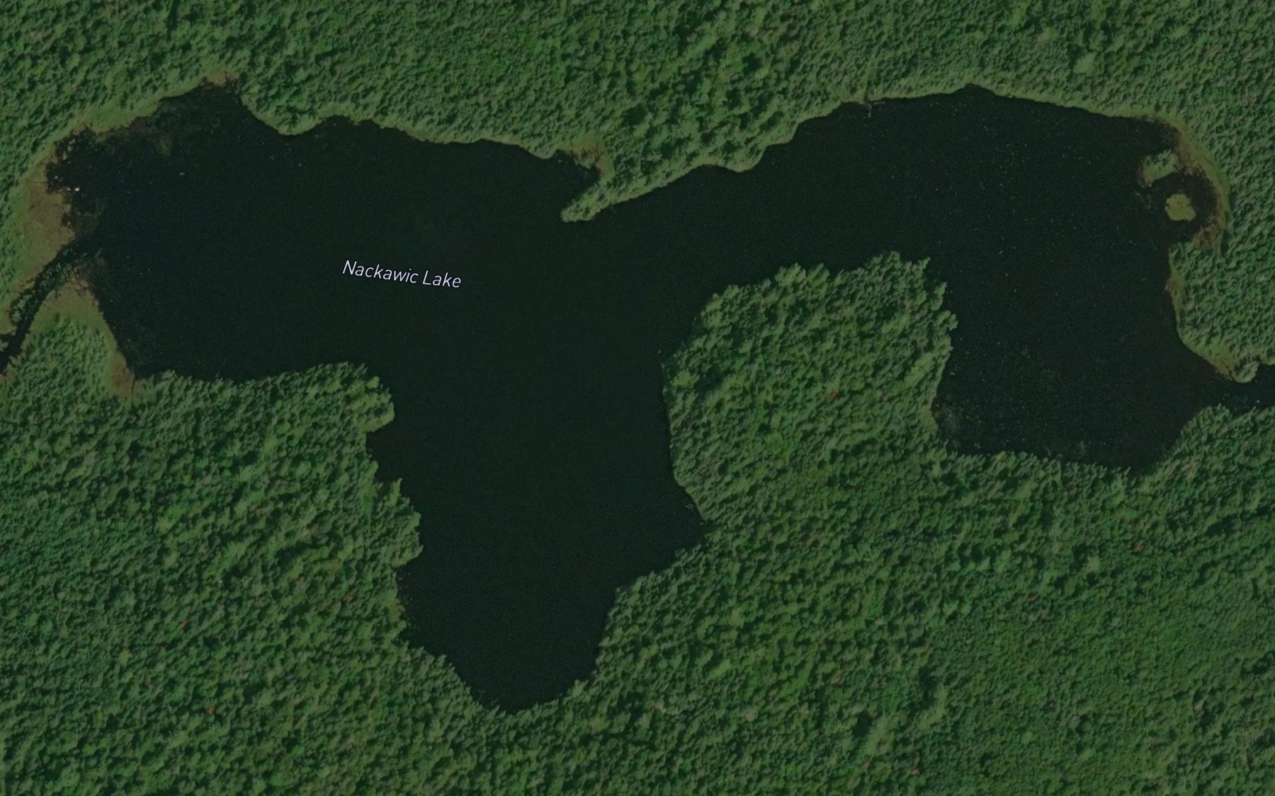 Satellite map of the Nackawic Lake