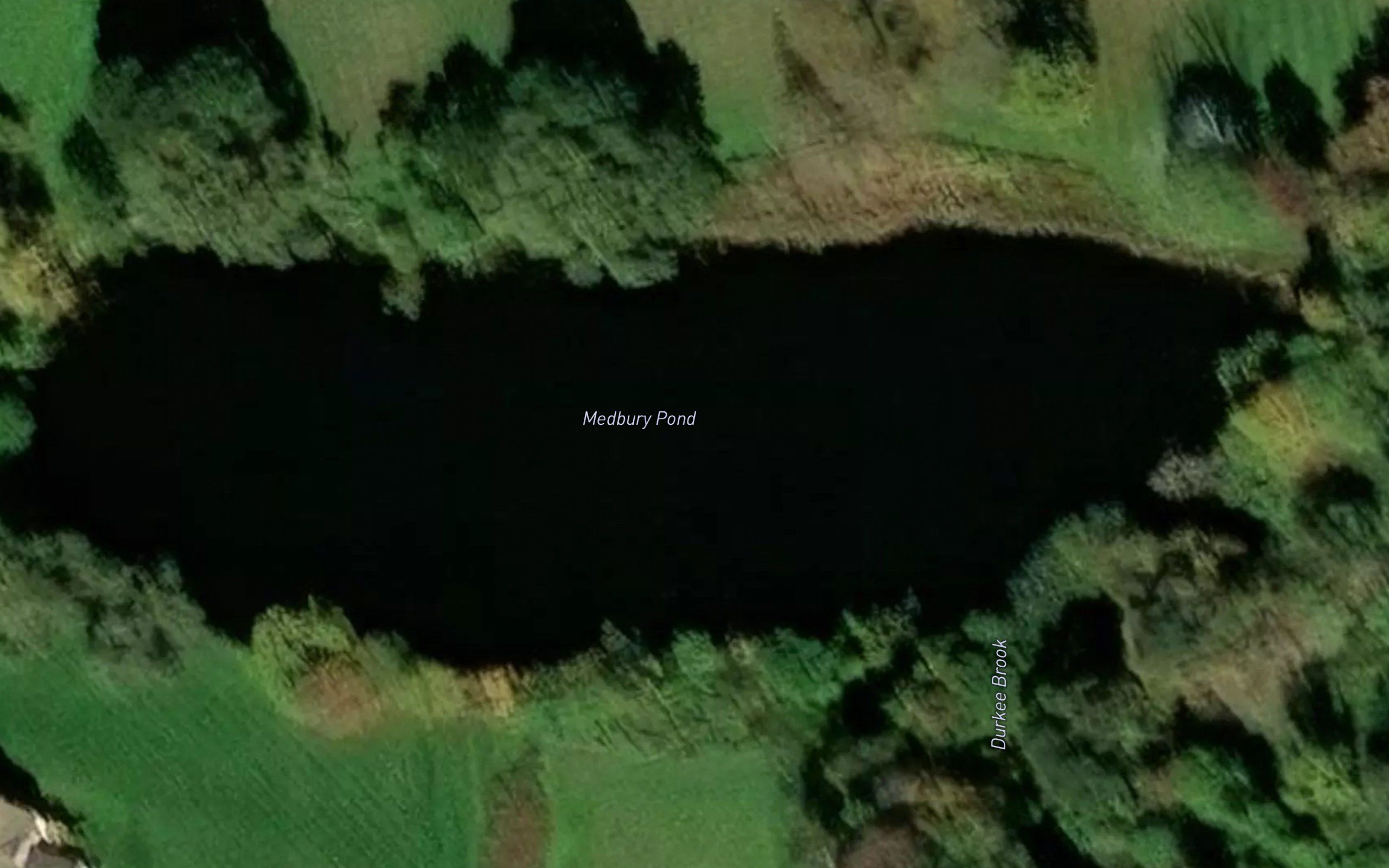 Medbury Pond