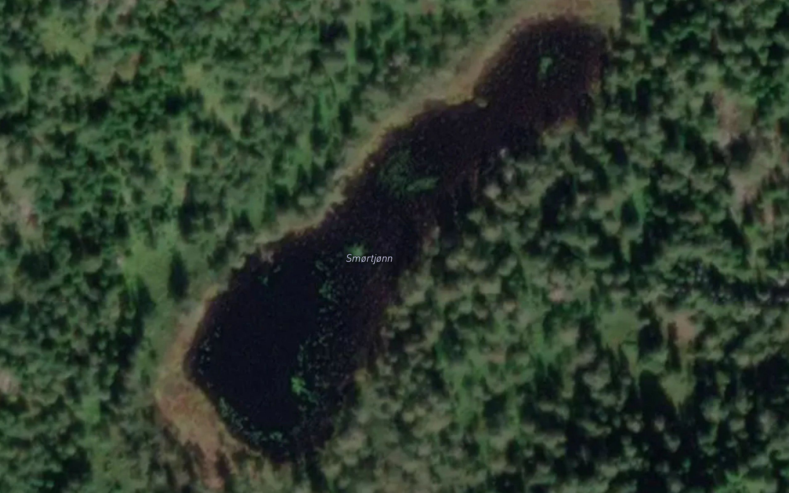 Smortjonn