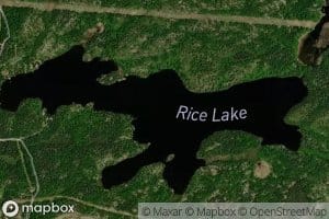 Rice Lake
