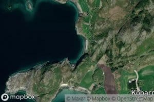 Barkkaret