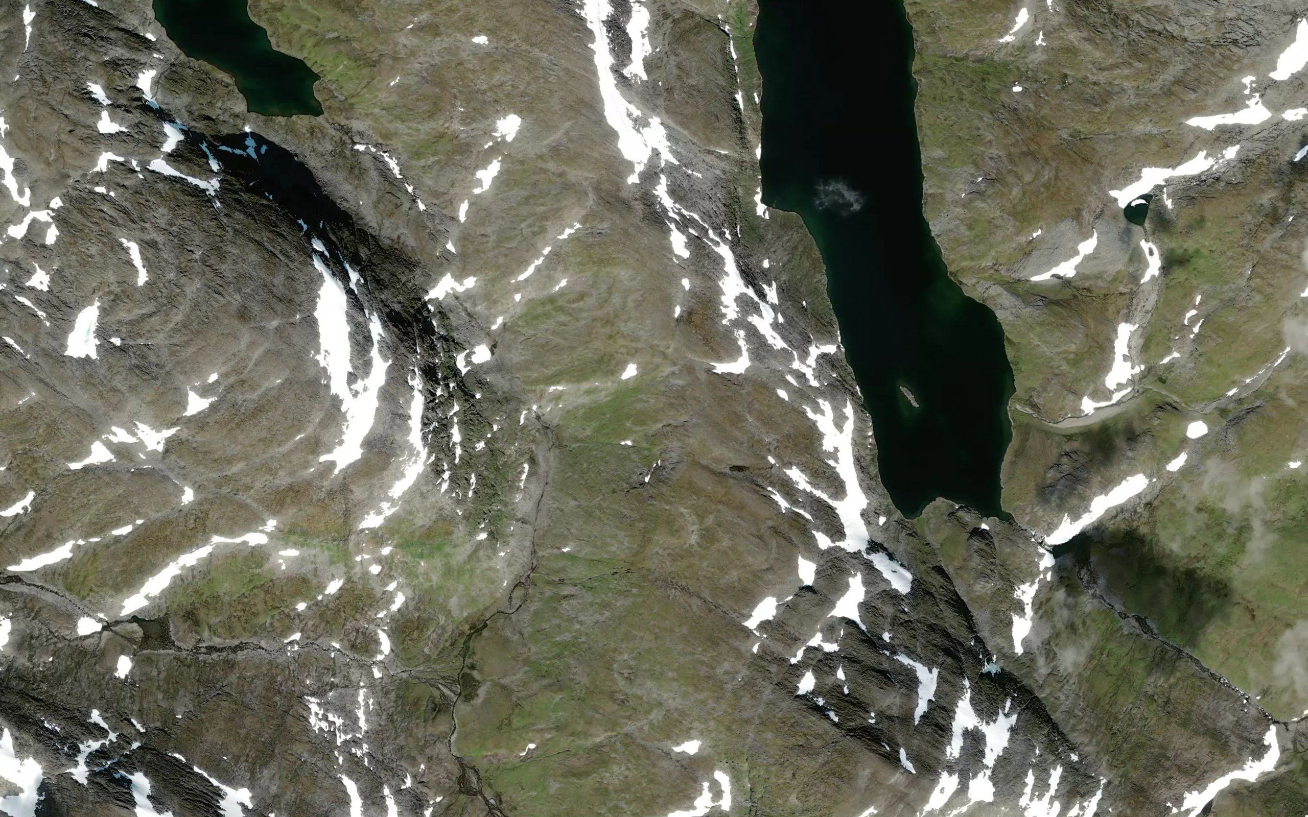 Ruoskajaure