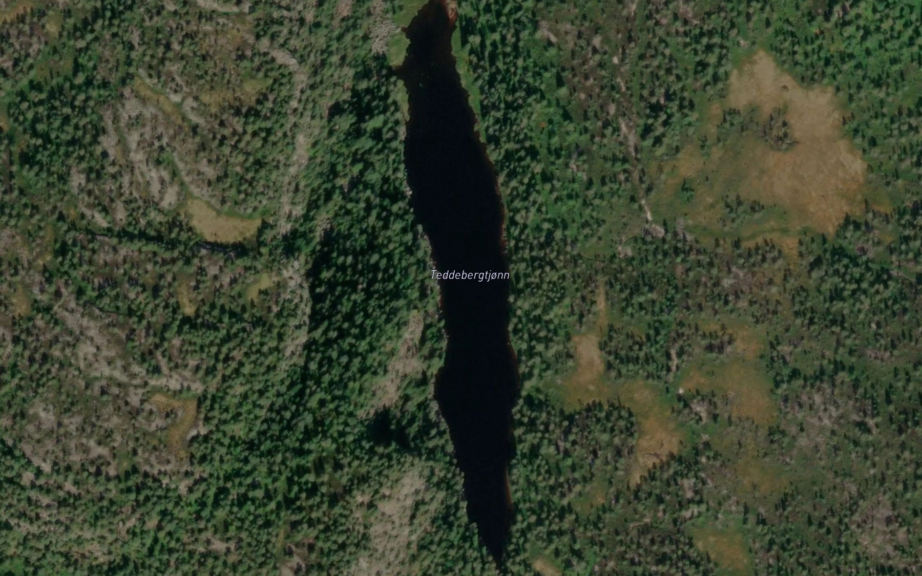 Satellite map of the Teddebergtjonn