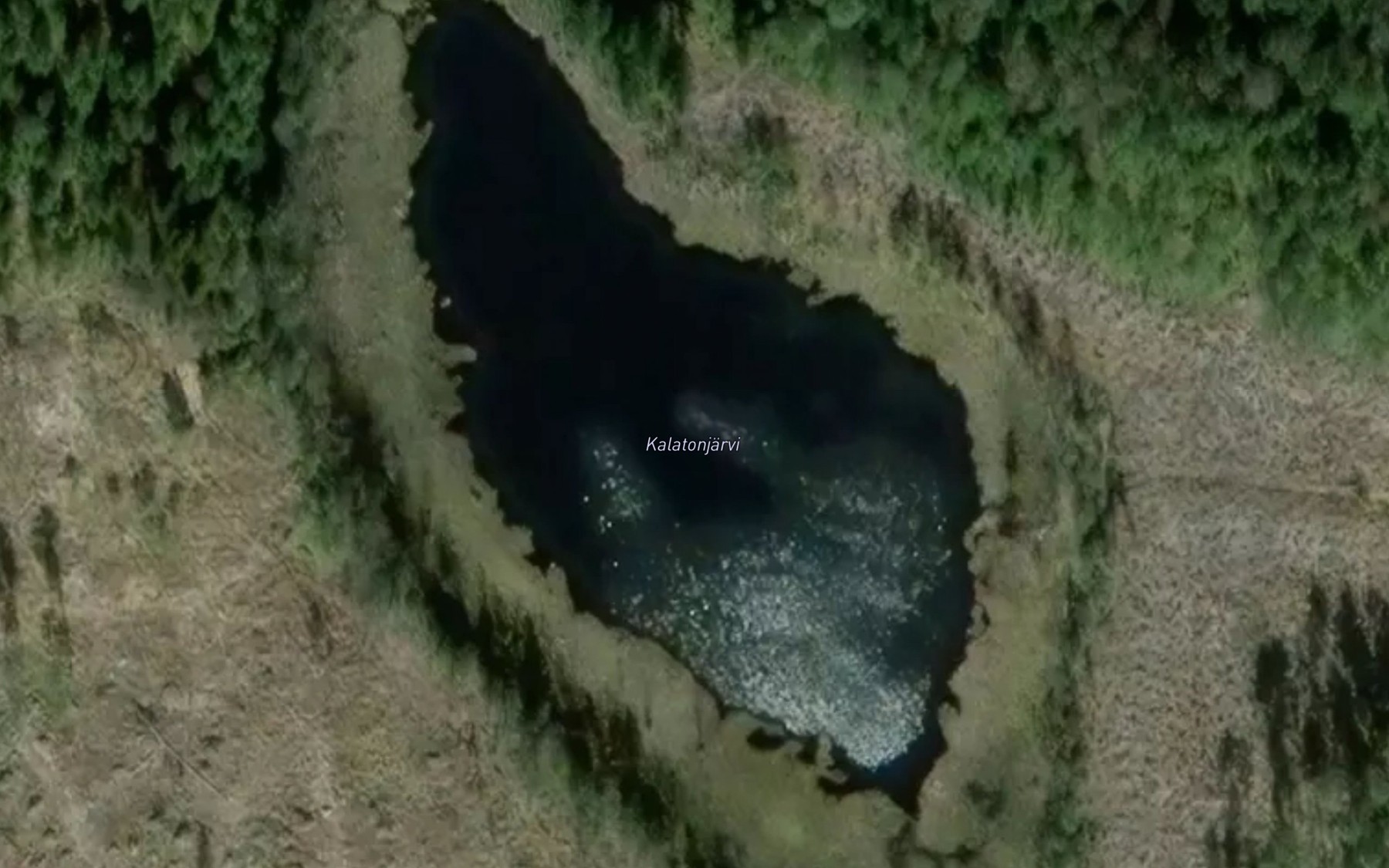 Satellite map of the Kalatonjarvi