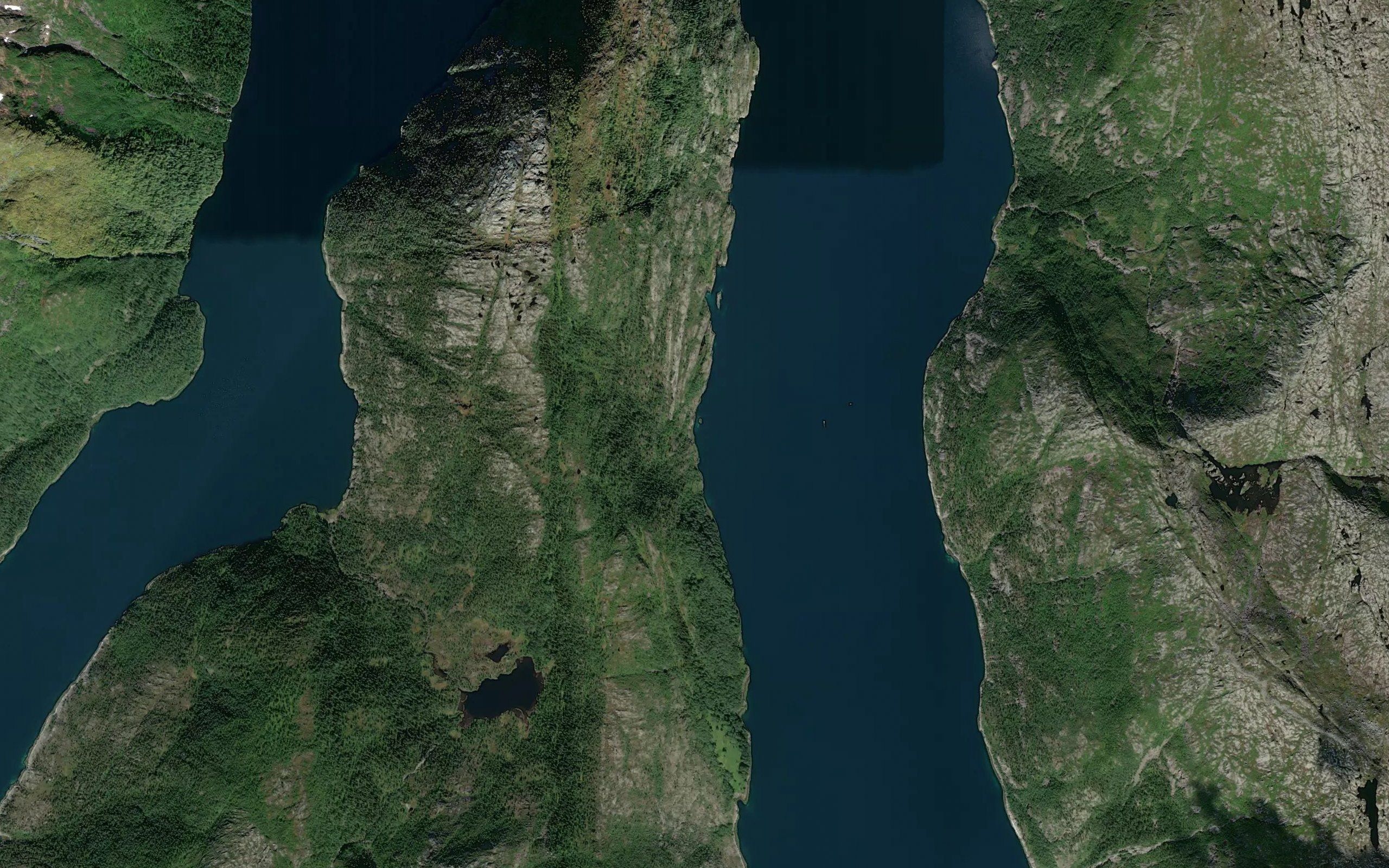Almlibukta
