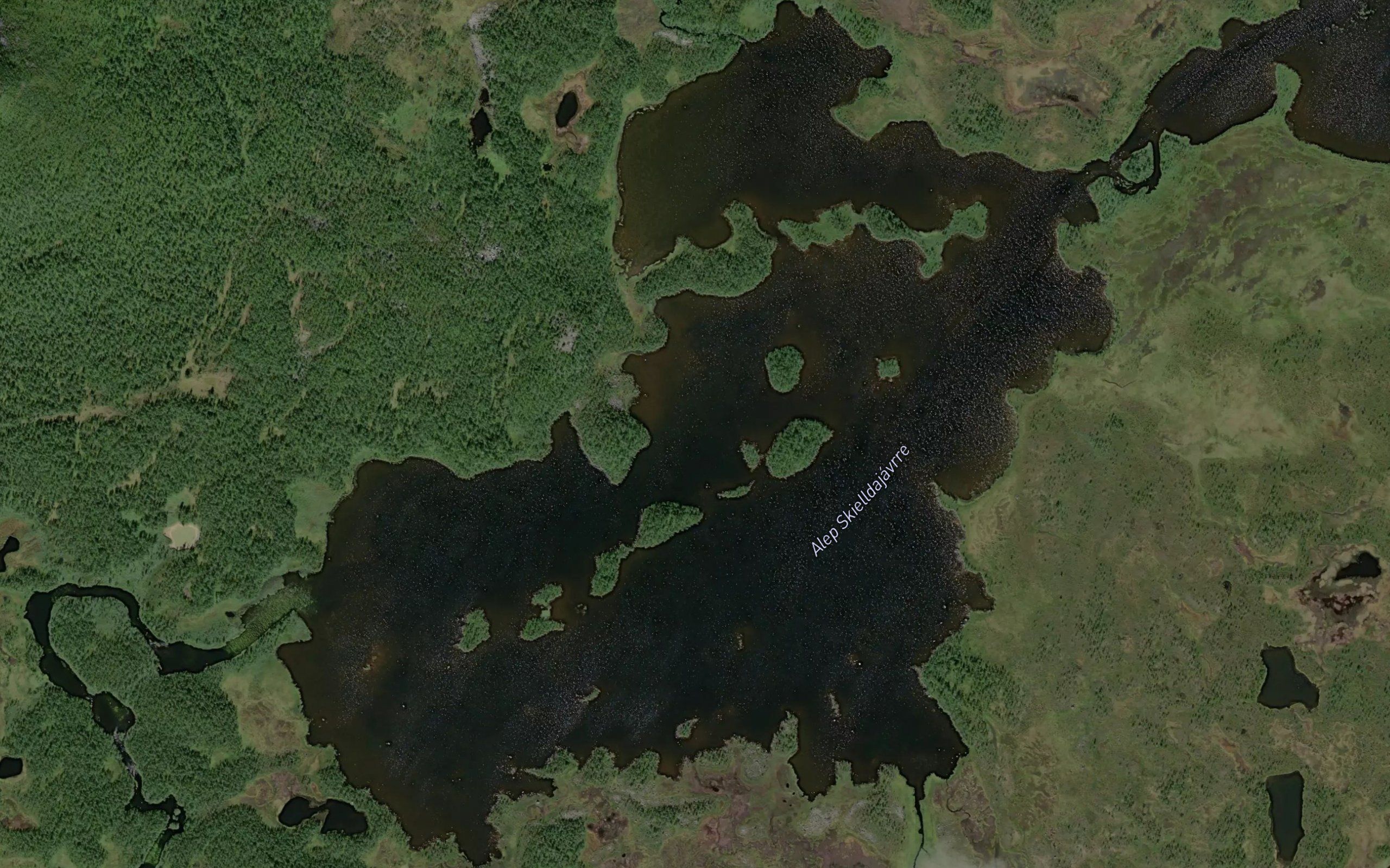 Alep Skielldajavrre