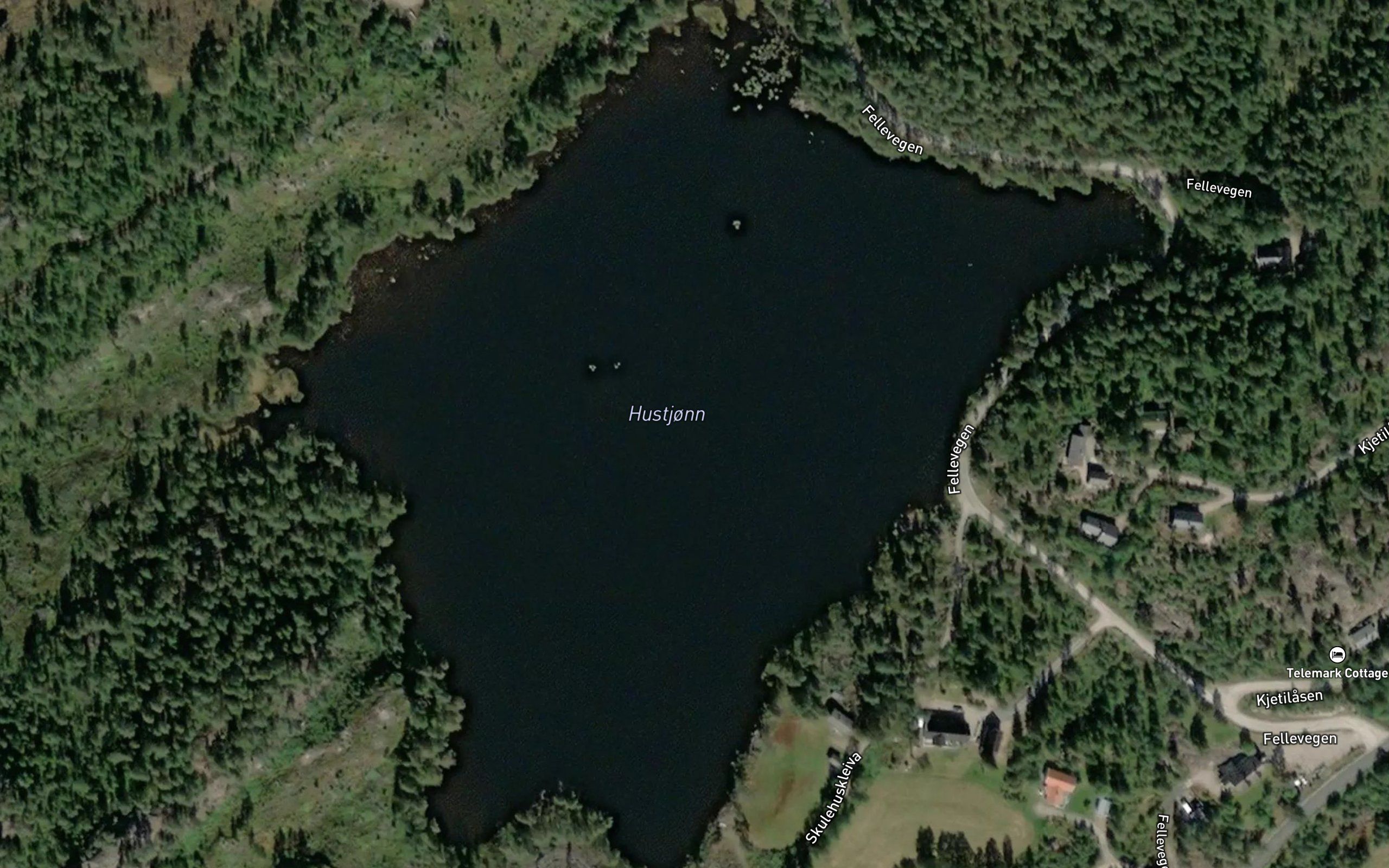 Hustjorn