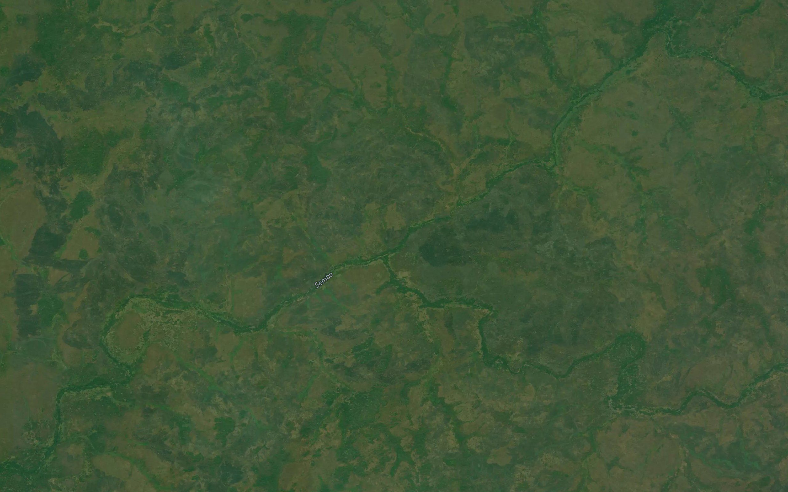 Anguila