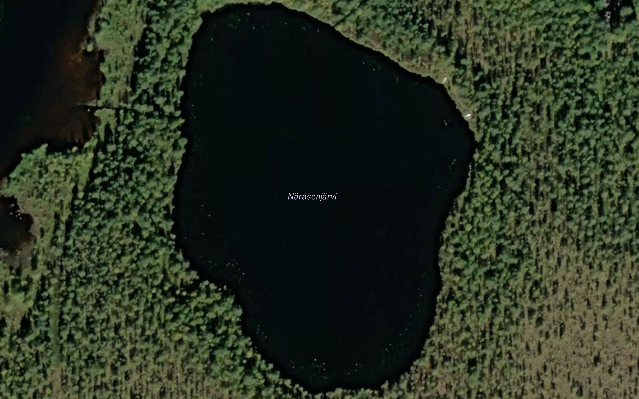 Narasenlampi
