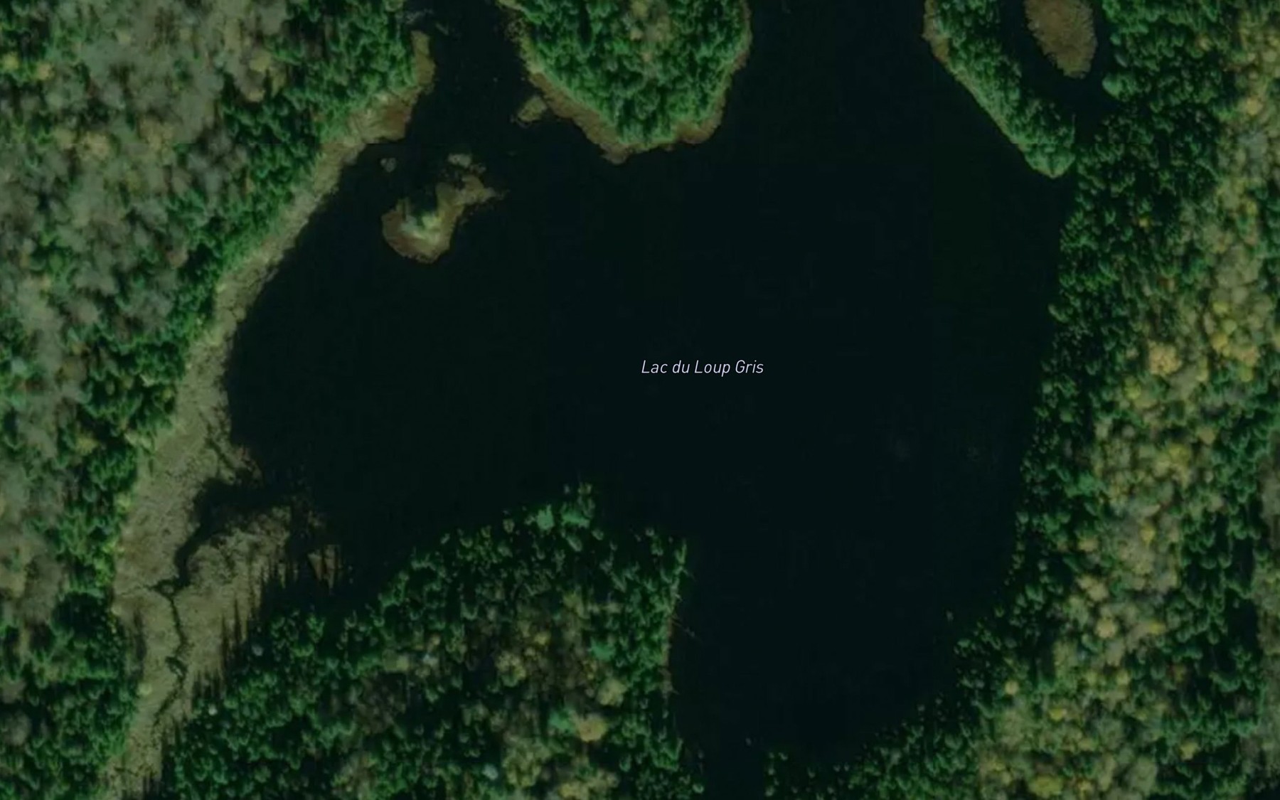 Satellite map of the Lac du Loup Gris
