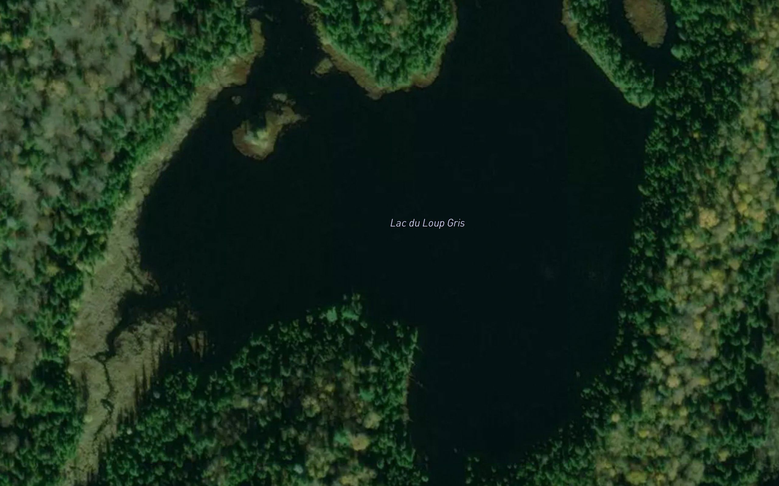 Lac du Loup Gris