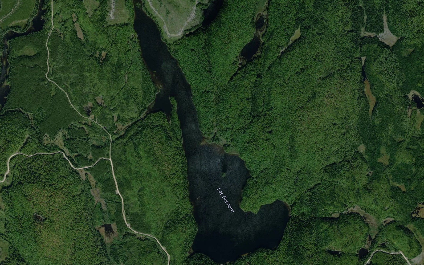 Satellite map of the Lac Guenard