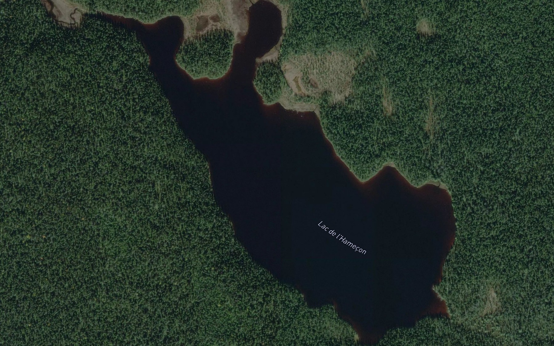Satellite map of the Lac de l'Hamecon