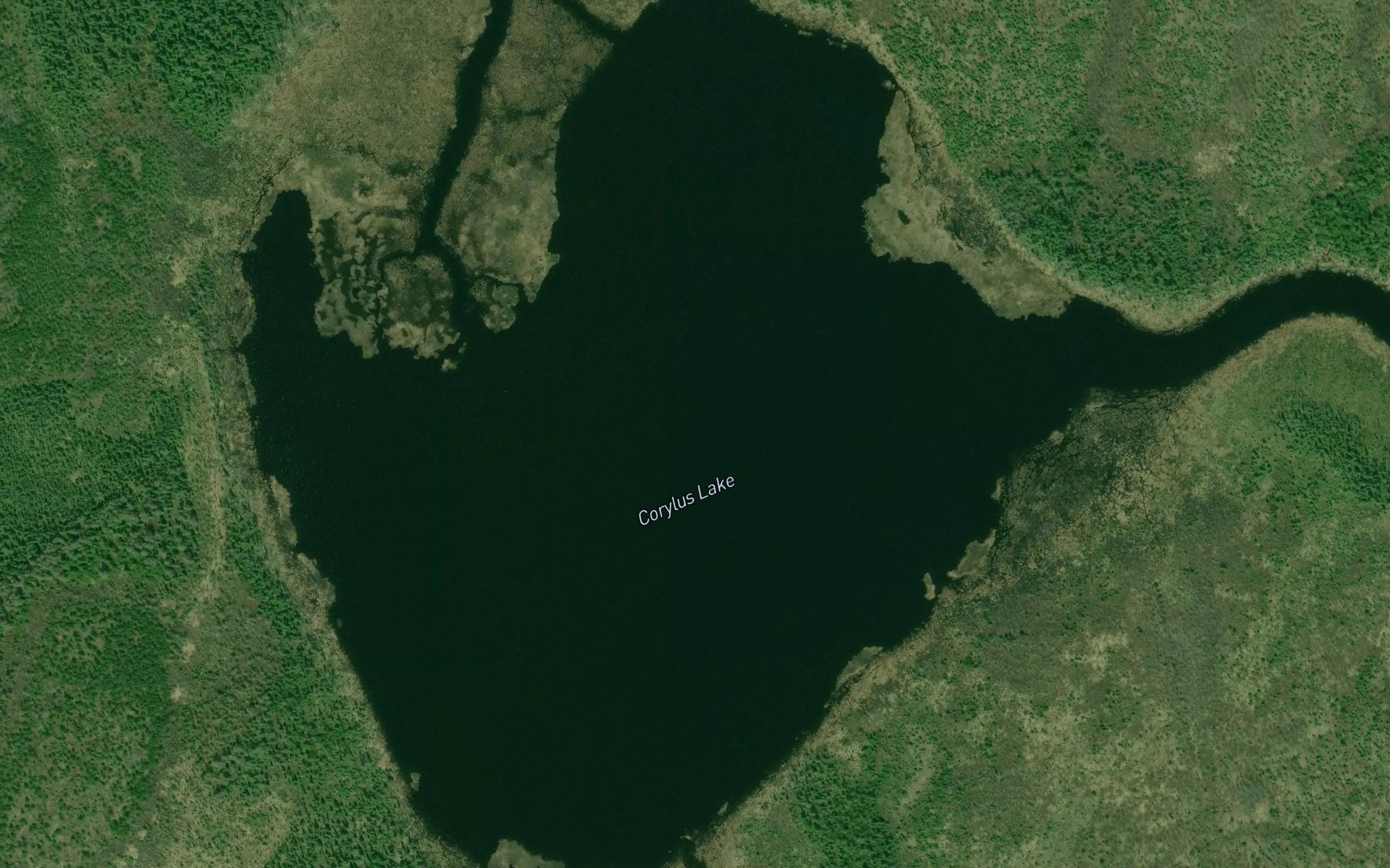 Satellite map of the Corylus Lake