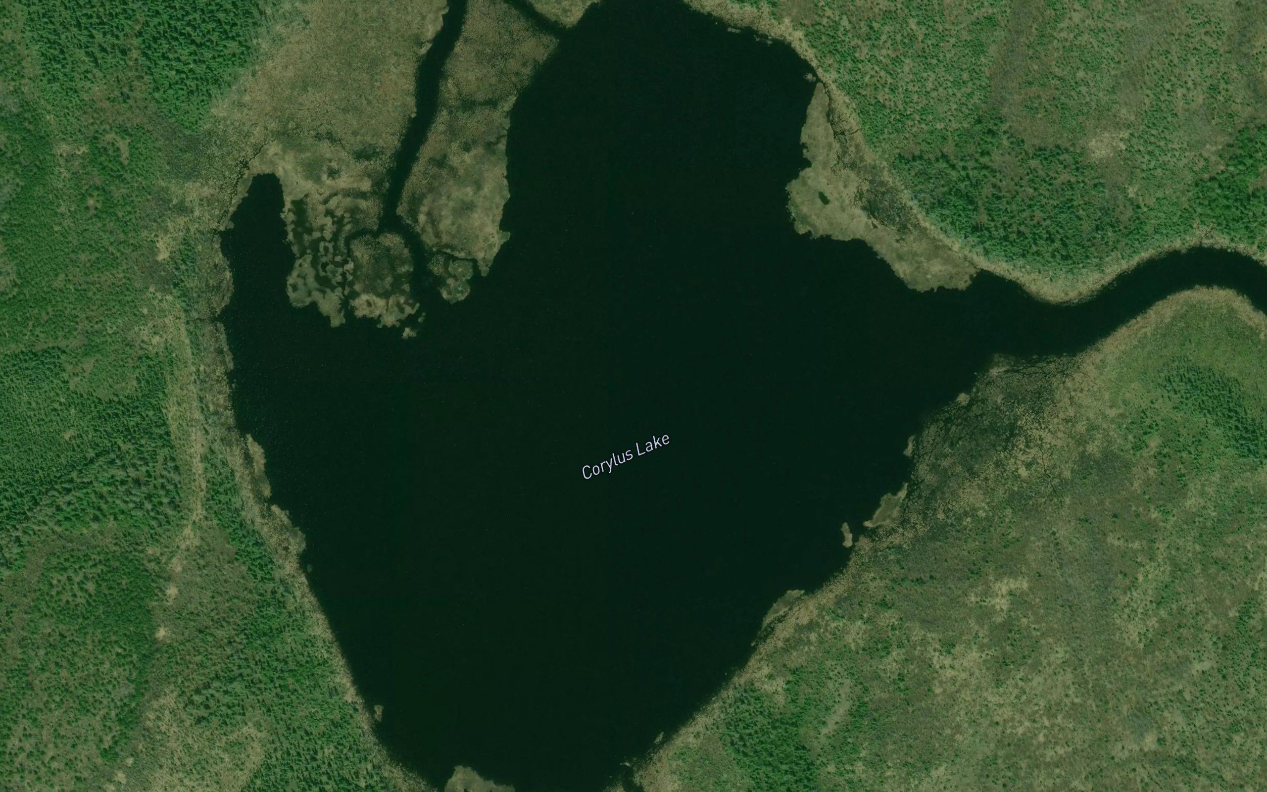 Corylus Lake