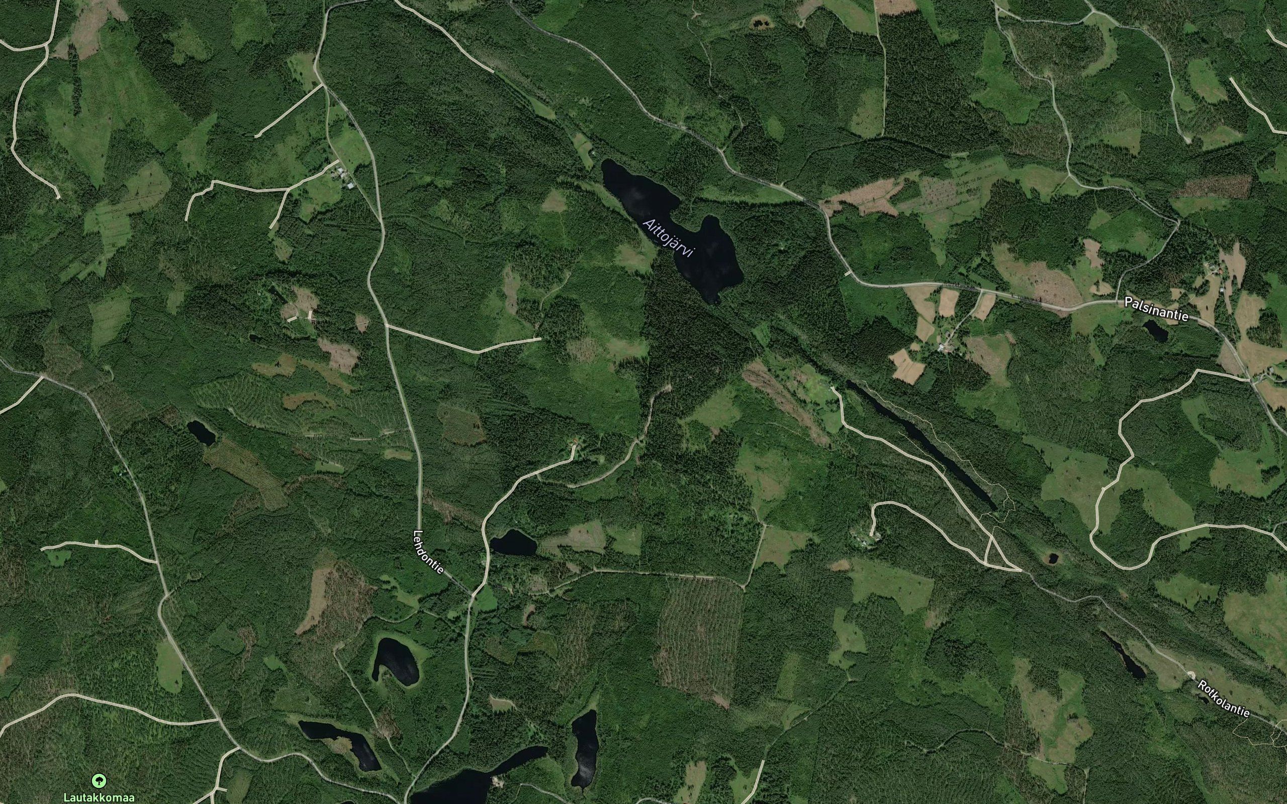 Konivuorenrotko