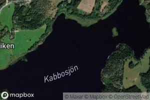 Kabbosjon