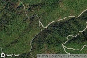 Nettle Spring Branch