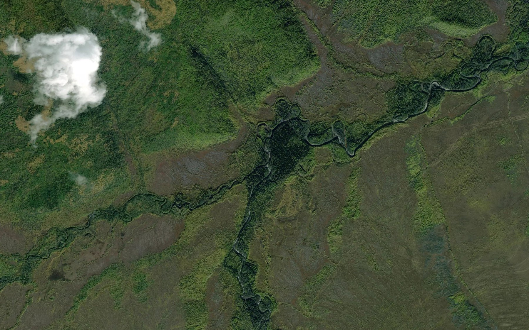 Satellite map of the Bol'shoy Kenurakh