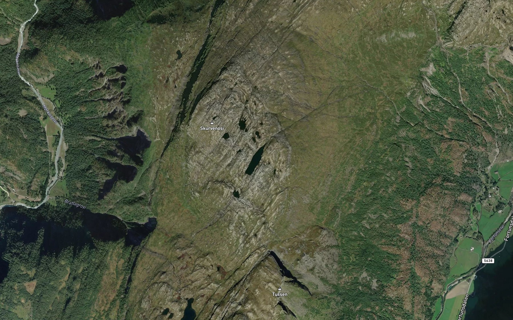 Satellite map of the Skurvenosvatnet