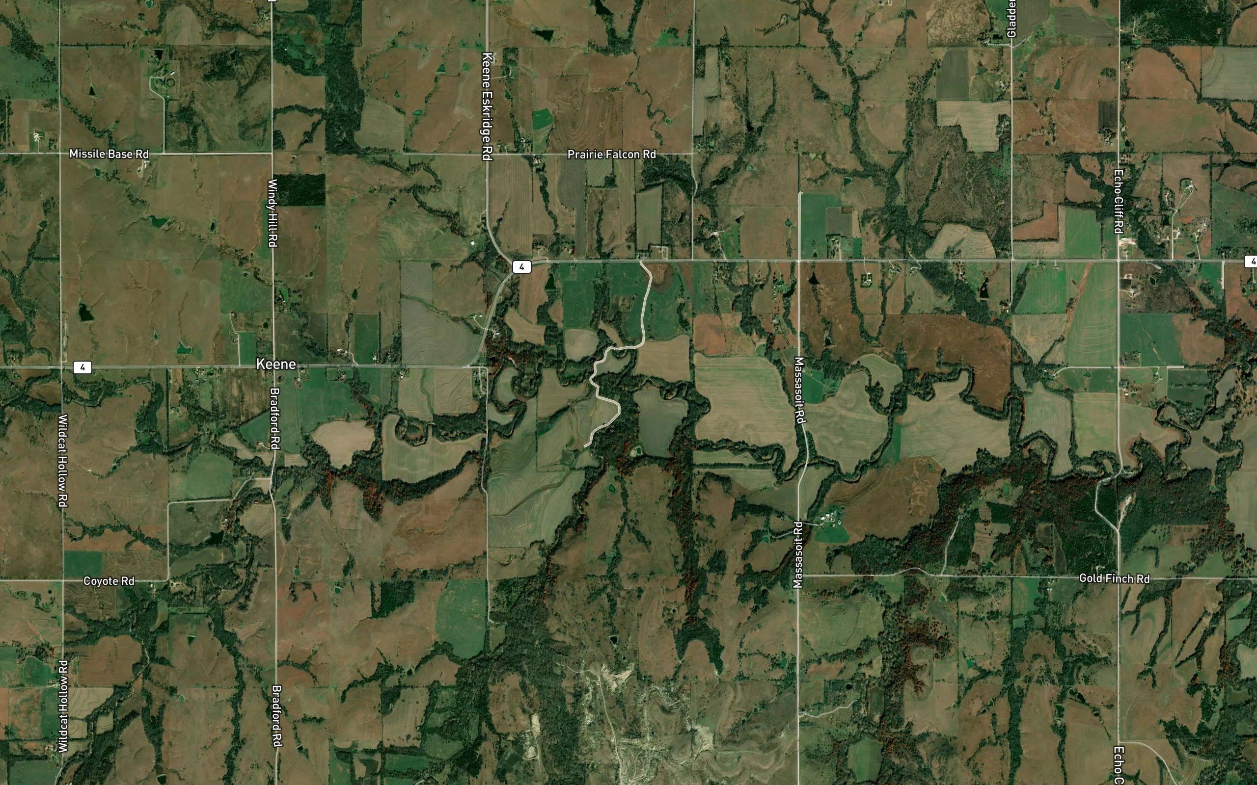 Allen Branch