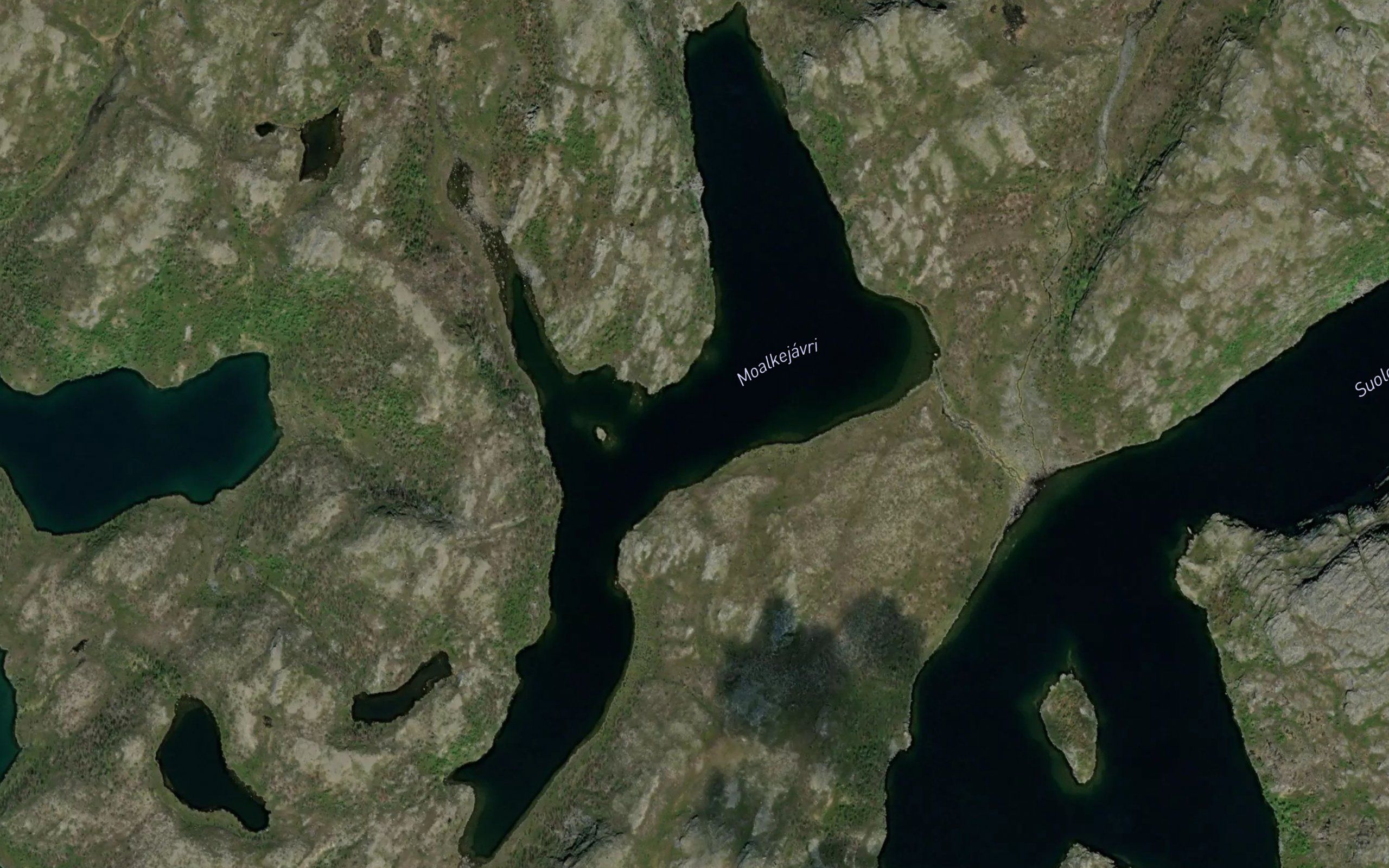 Moalkejavri