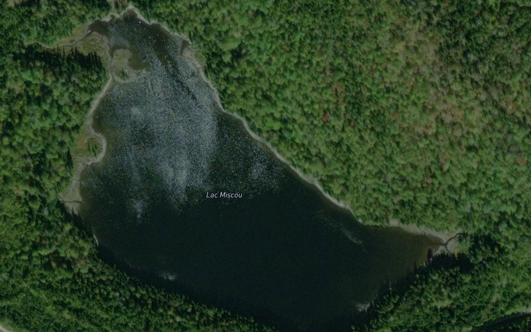 Satellite map of the Lac Miscou