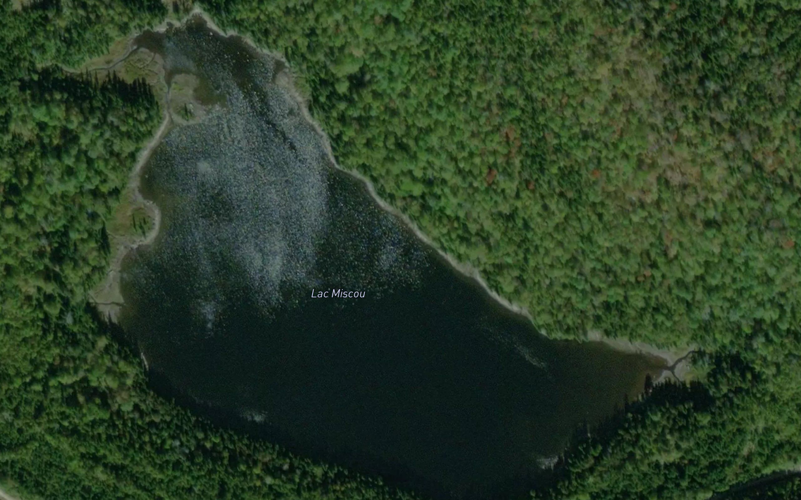Lac Miscou