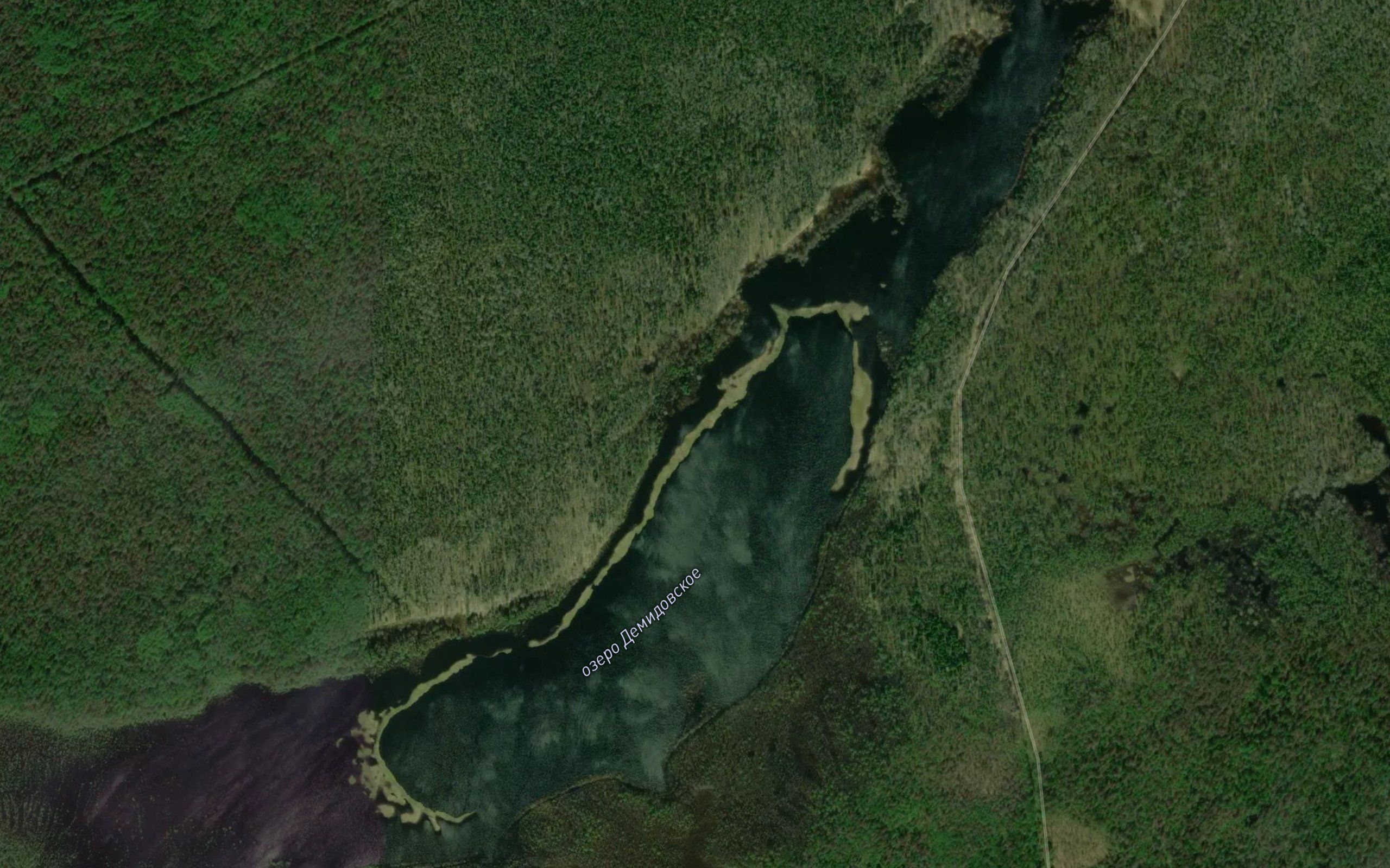 Ozero Demidovskoye