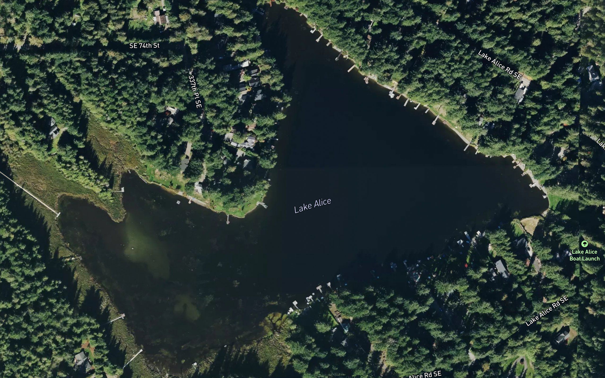 Lake Alice