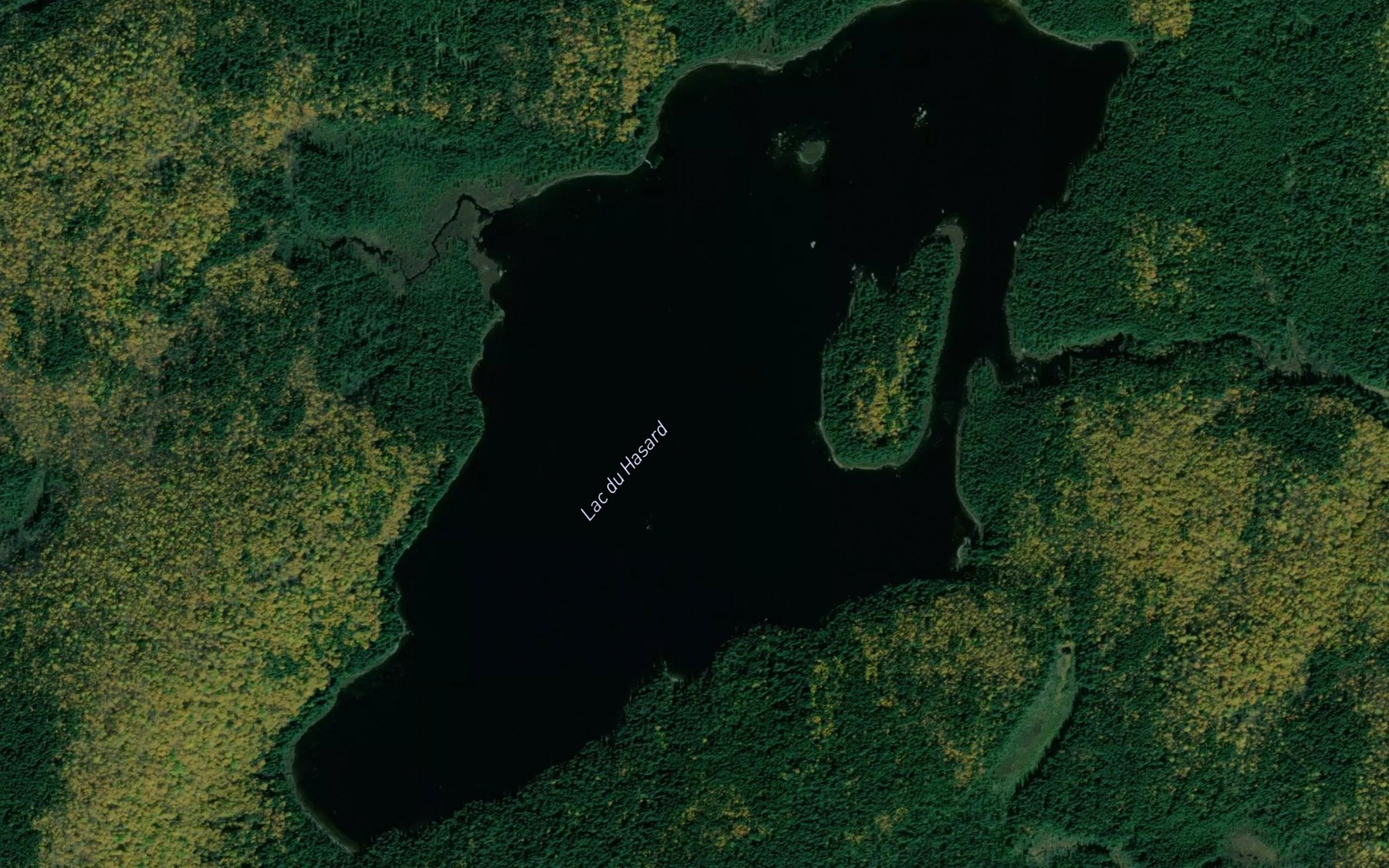 Satellite map of the Lac du Hasard