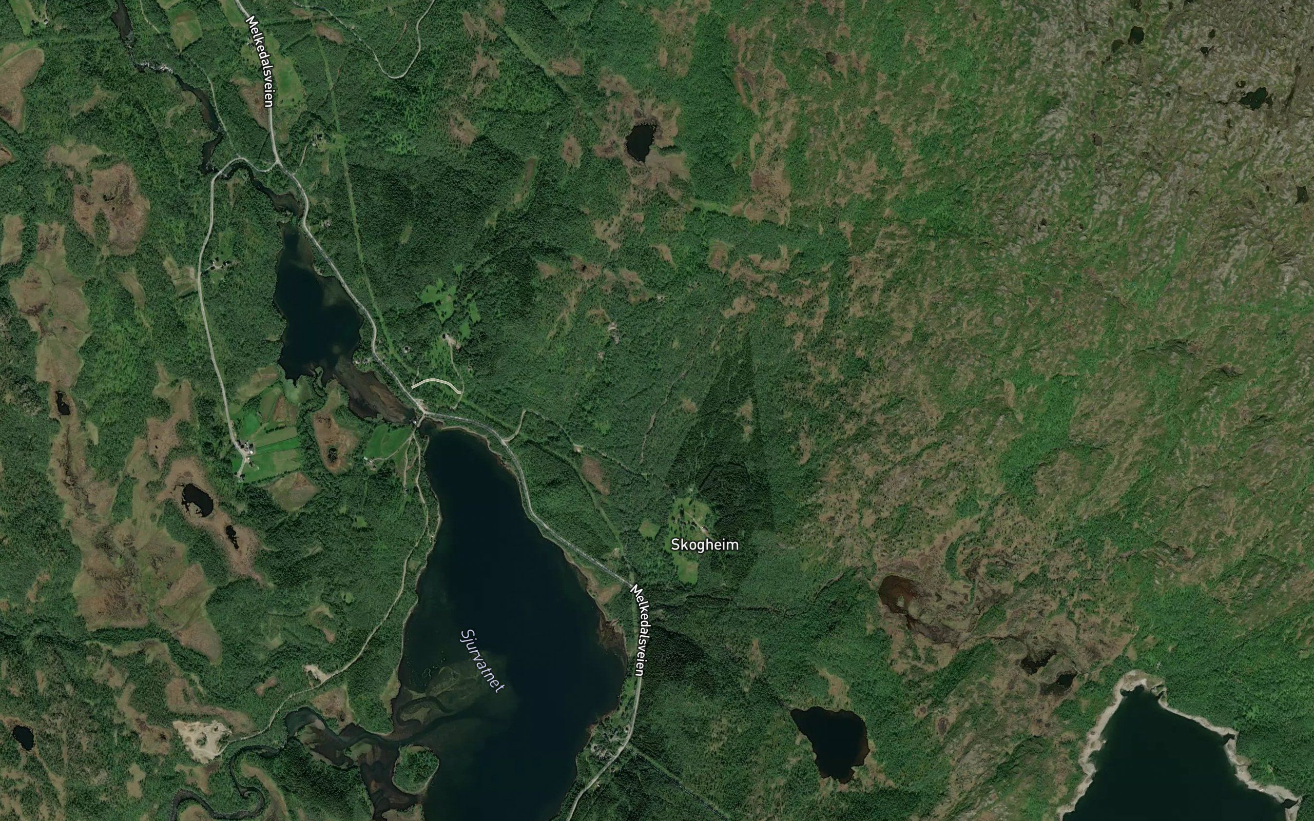 Kampelva