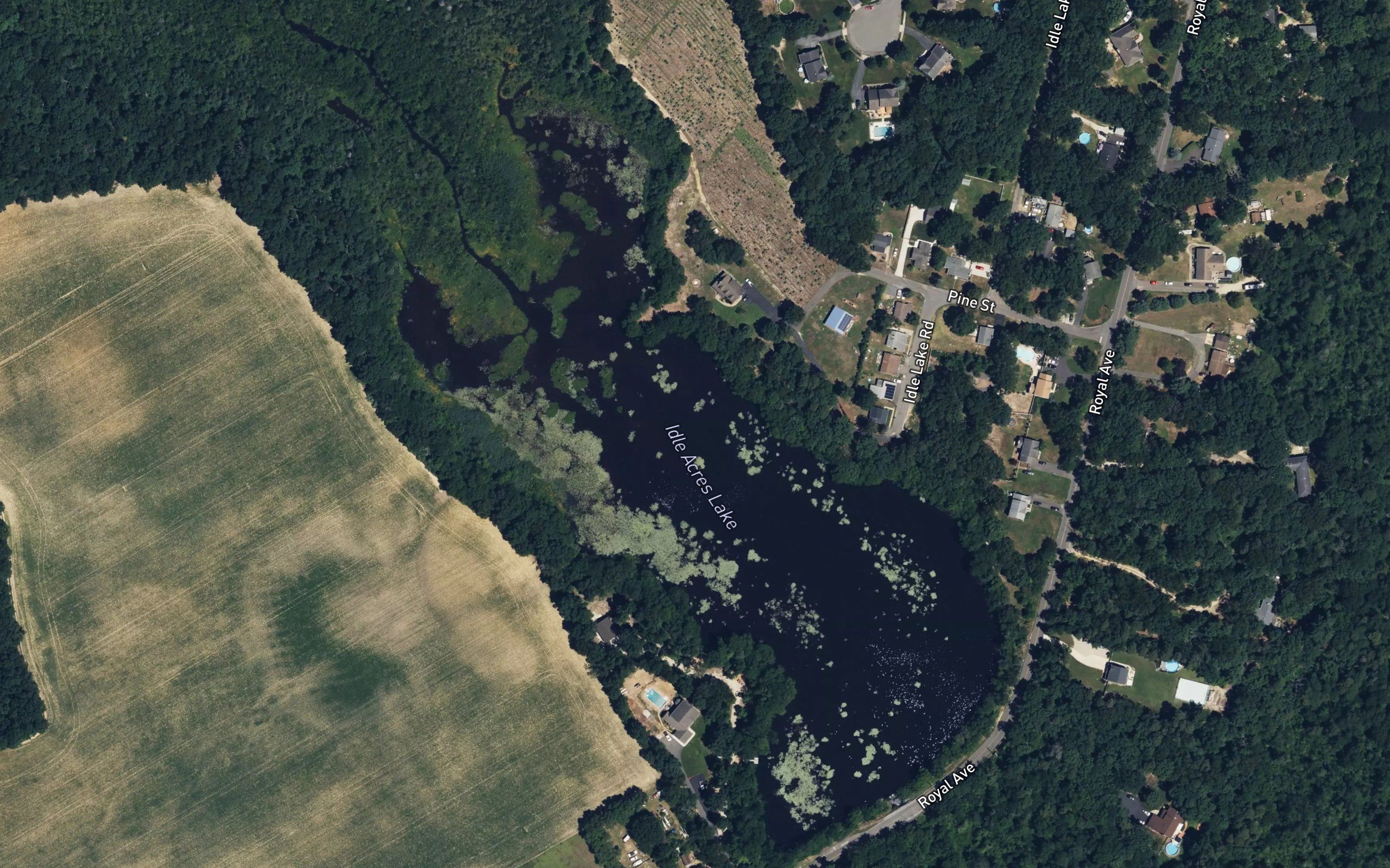 Idle Acres Lake