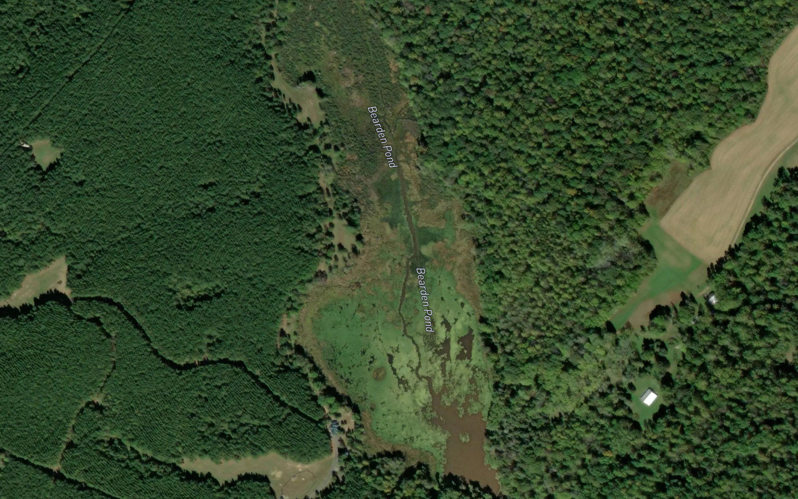 Bearden Pond
