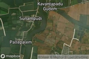 Elurupadu Number One Channel