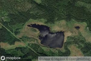 Bruktjernet