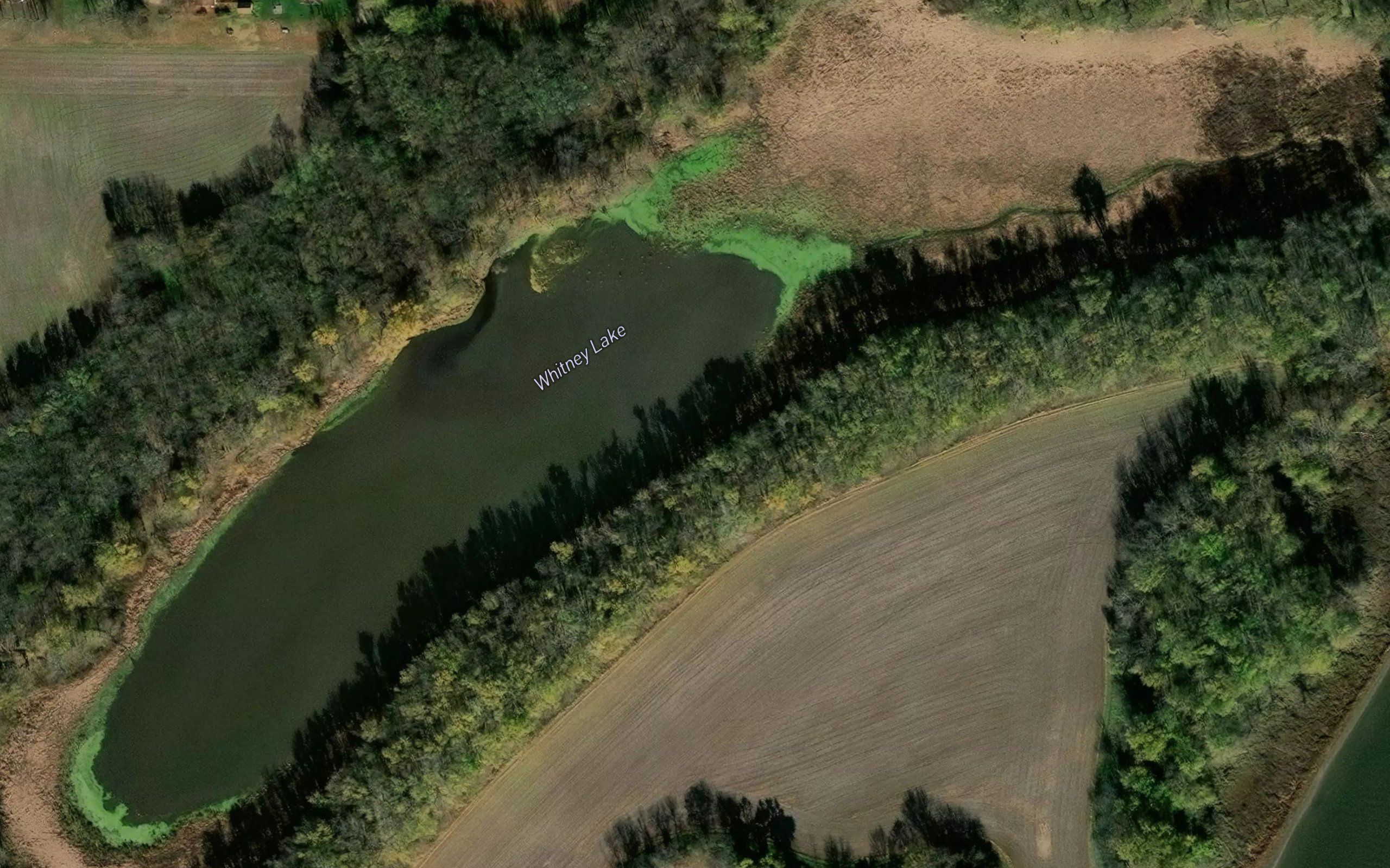 Whitney Lake