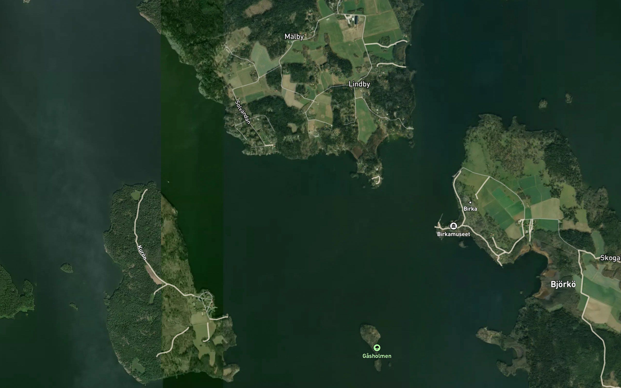 Rorviken